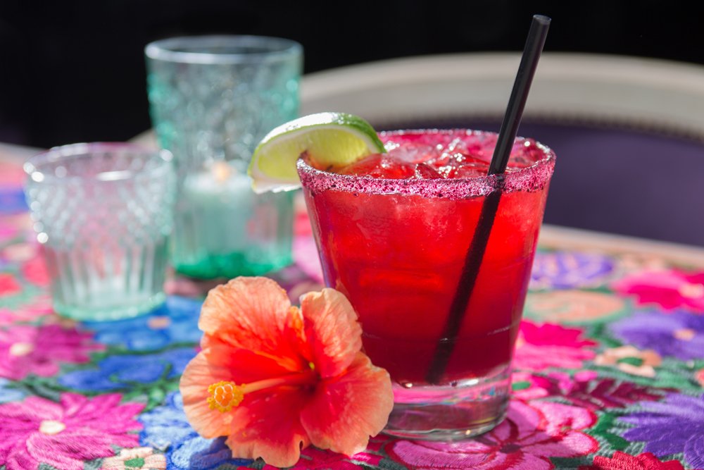 Hibiscus (jamaica) margarita